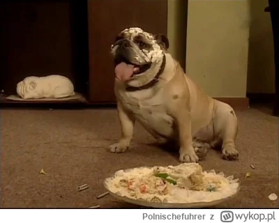 Polnischefuhrer - Pershing to jedyny buldog jakiego szanuje ( ͡° ͜ʖ ͡°)

#psy #psiarz...