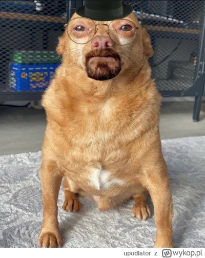 upodlator - Jessie, we need to woof