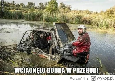 Morcin14 - @ianvnd: Są tory gdzie zwierzęta p----------ą i jakoś problemu nie widzą ᶘ...