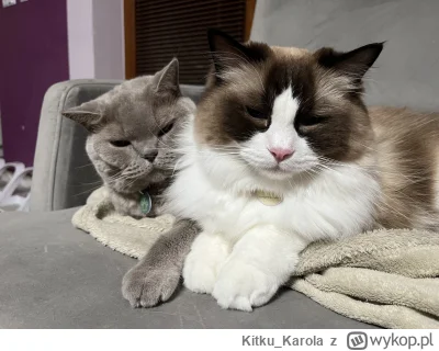 KitkuKarola - @wybryknatury