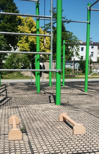 LePetit2197 - Prosty chuop, kierowca w piekarni, w wolnej chwili cwiczy kalistenike b...