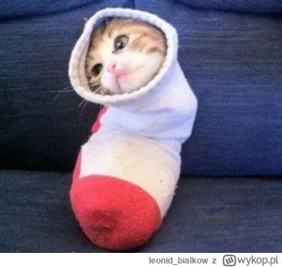 leonid_bialkow - @skrogg: cze