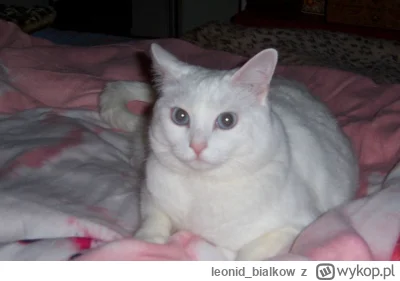 leonid_bialkow - a może by tak zmienić dane na jan ptaszyn wrublewski i zamieszkać w ...