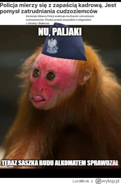 LordMrok - #polska #policja
Jeszcze zatęsknicie za rodzimym bagiet majstrem ( ͡° ͜ʖ ͡...