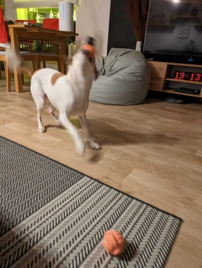 insystem - @axelek14: