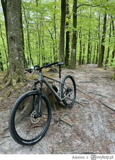 Aquoss - @krzych0 @Fermiol a tu jeszcze przed montażem gadżetów, MTB w naturalnym śro...