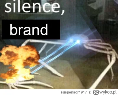 suspensor1917 - @aleksc: Media społecznościowe marek to był błąd