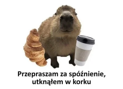 Neeveermind - Hej nocna