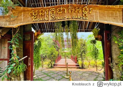 Knoblauch - @filixcastellano jak zaczynał ten koncept to slyszalem, ze nastawia się n...