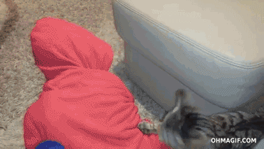 wfyokyga - Młody niewolniku, zabierz mnie do lodówki