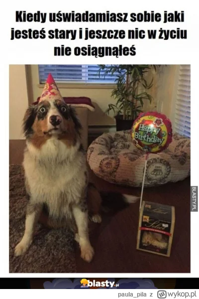 paula_pila - 35 urodziny dziś, można rzec że półmetek (ಠ‸ಠ)

#urodziny #wykop30plus #...