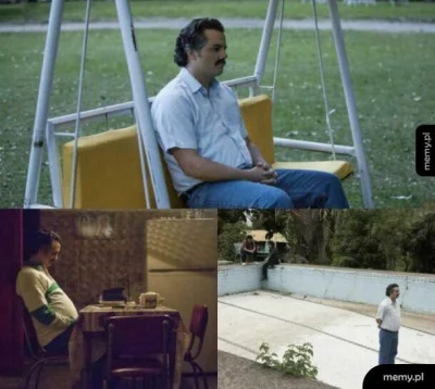 kanguru - #koncertnoworoczny kiedy musisz czekać cały rok na koncert noworoczny z Wie...