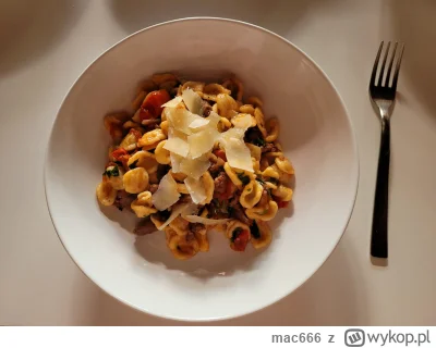 mac666 - Makaron orecchiette w sosie z pomidorow, włoskiej kielbaski salsiccia, wina ...