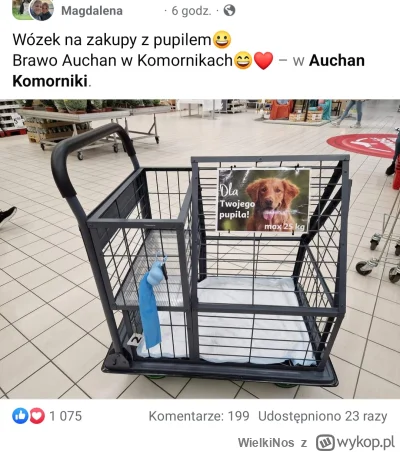 WielkiNos - >we Włoszech w co drugim wózku w sklepie spożywczym jest pies.

@Hmrogrz ...