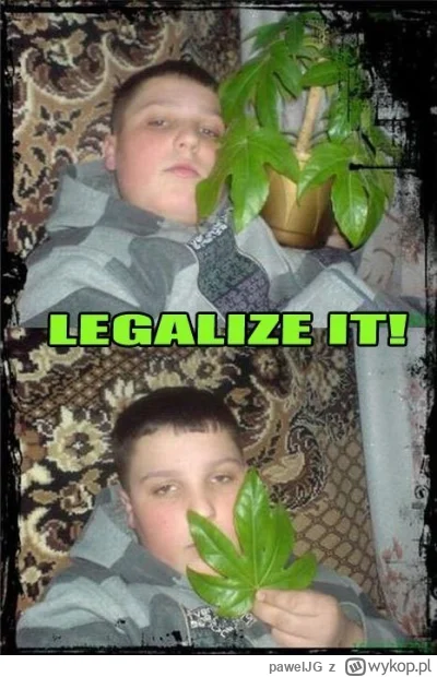 pawelJG - sadzić,
palić,
zalegalizować!!
#narkotykizawszespoko