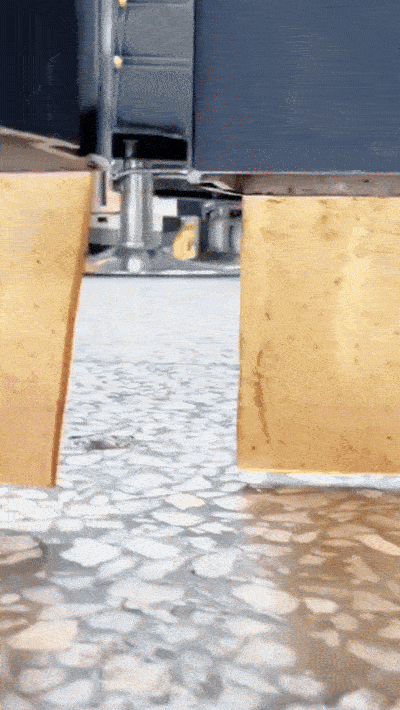 wfyokyga - Niuch niuch