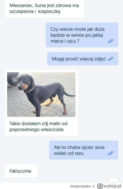 bezprzypau - #heheszki #olx