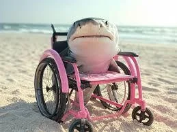 mecenas-z-piaseczna - #mecz