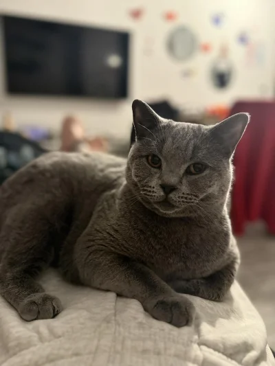 mido2 - Potem brytyjczyki się starzeją i...... dalej są slodkie *.*