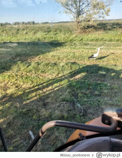 Wziuu_pontonem - Ulica sprawiedliwie donosillcieli karze 
Joł joł 
Taki jest uliczny ...