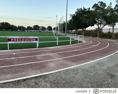 randall - W tłumaczeniu na polski: „uwaga na biegające dziki”