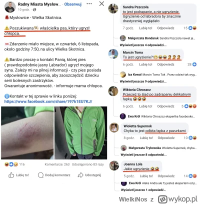 WielkiNos - @greedy_critic normalizowanie pogryzień psów przez psiarzy to nieodłączny...