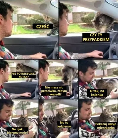 PanKocik - #humorobrazkowy #koty