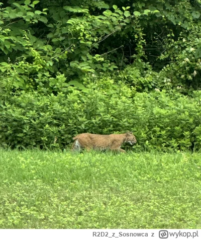 R2D2zSosnowca - @R2D2zSosnowca: na wjeździe do parku ku mojemu zaskoczeniu przywitał ...