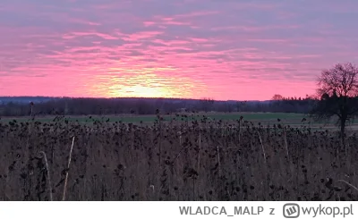WLADCA_MALP - #zdjeciatarzana dzisiejszy wschód słońca był zjawiskowy, zdjęcia nie od...