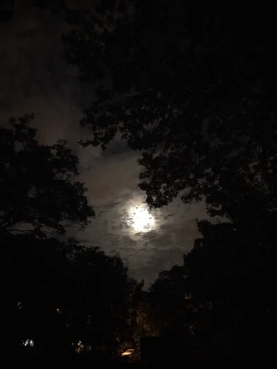 bartlomiej_rakowski - #spierdotrip pochmurny na dzień dzisiejszy i jutrzejszy i tu te...