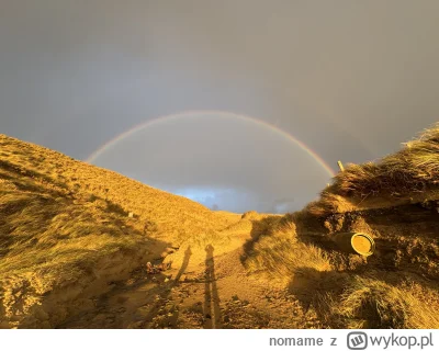 nomame - Cześć, chciałem się pochwalić jakie fajne zdjęcie udało mi się zrobić (｡◕‿‿◕...