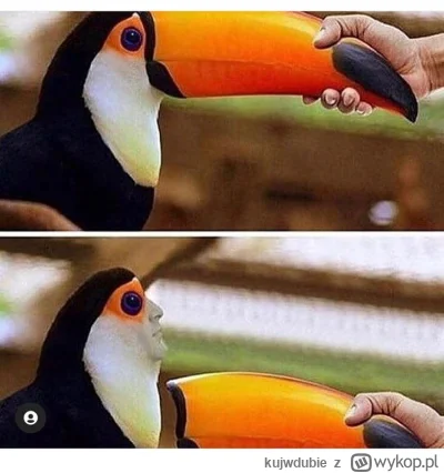 kujwdubie - @Lifelike: