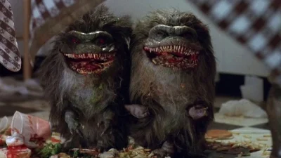 PIAN--A_A--KTYWNA - Rozsmakowały się w mięsie