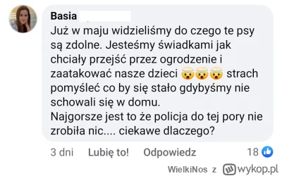 WielkiNos - Komentarz jednej z sąsiadek.
