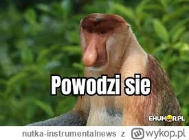 nutka-instrumentalnews - #powodz :-( to pozamiatane.. 
może jutro minię ta apokalipsa...