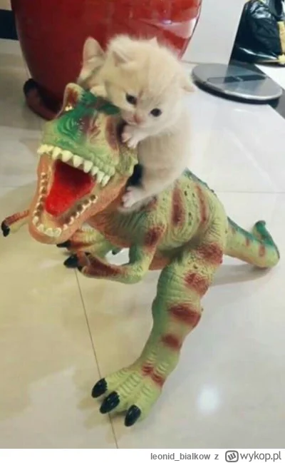 leonid_bialkow - @wfyokyga: cze dla cb