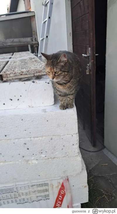 guovens - Jeśli Furia nie jest kierownikiem, to ja już nie wiem kto jest. 
#kitku #ko...