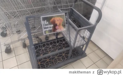 makitheman - W Auchanie jest takie cuś.
Według mnie spoko..