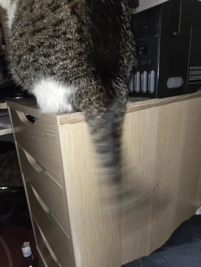 Solsith - @Jestem_Tutaj: i szybki( ͡° ͜ʖ ͡°)