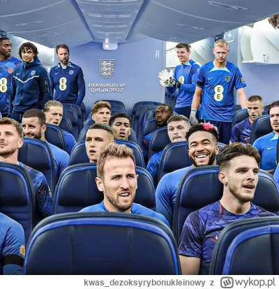 kwas_dezoksyrybonukleinowy - They are flying home ( ͡° ͜ʖ ͡°)

#mecz #pilkanozna