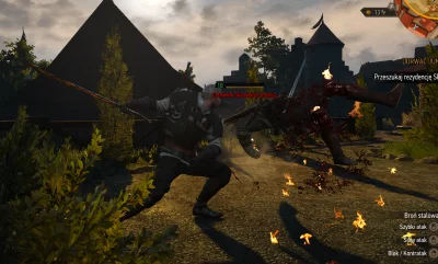 L.....k - W Novigardzie było pięknie. Teraz, na Skellige, nudzę się i nie czuję radoś...