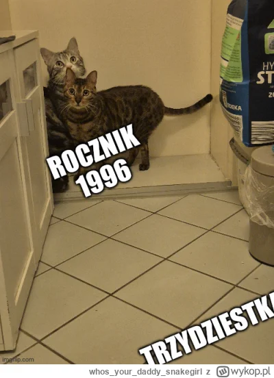 whosyourdaddy_snakegirl - @Lujdziarski