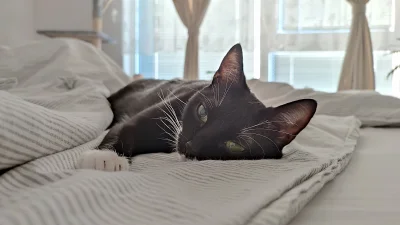 strasznycham - @strasznycham: dorosła