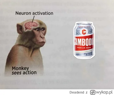 Deadend - #raportzpanstwasrodka