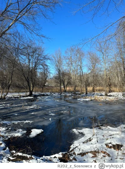 R2D2zSosnowca - @R2D2zSosnowca bajorko styczniowe