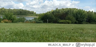WLADCA_MALP - #zdjeciatarzana wypoczynek na trawniku...