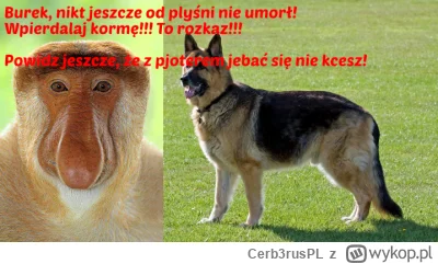 Cerb3rusPL - @pawello321: