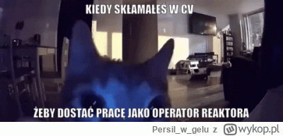 Persilwgelu - @banciur: @Niedobry