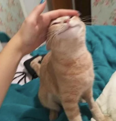 psspspspsp - @DarthRegis: