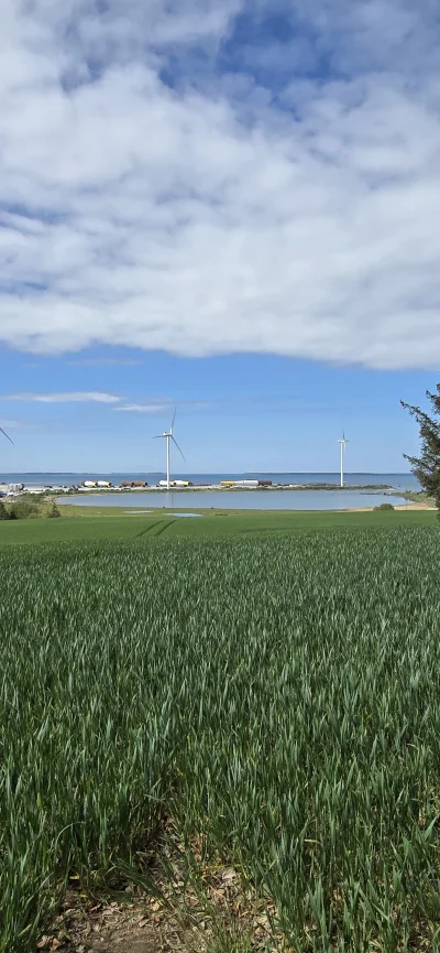 biedachuop - @Qziuta12: